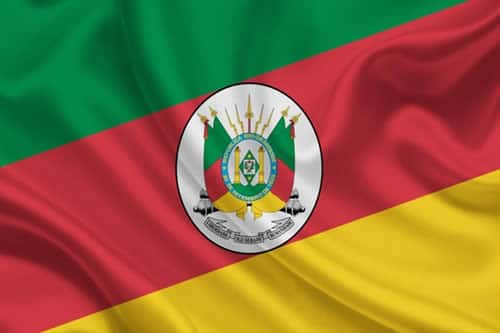Bandeira do Rio Grande do Sul representando a atuação regional da Ninovet