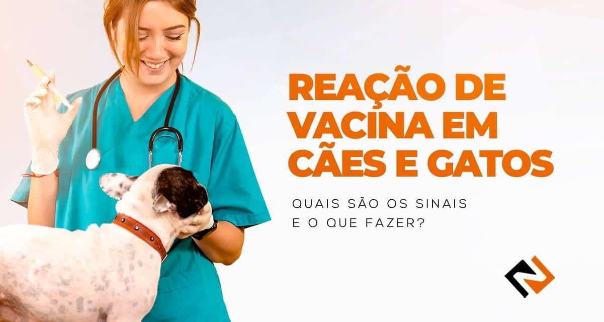 Reação de vacina em cães e gatos: quais são os sinais e o que fazer?