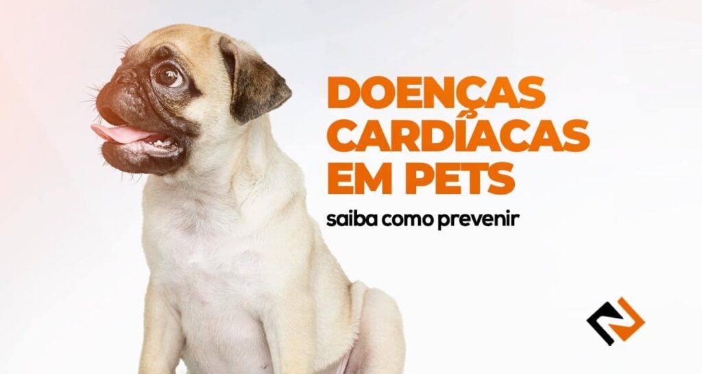 Doenças cardíacas em pets: saiba como prevenir