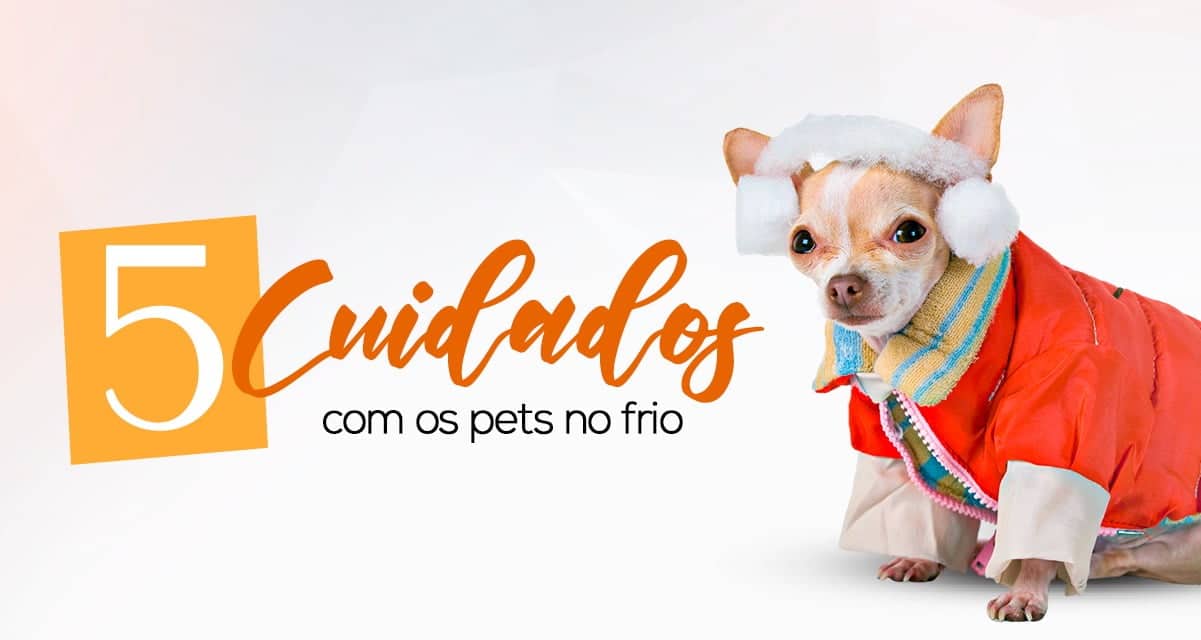 Confira 5 cuidados com os pets no frio