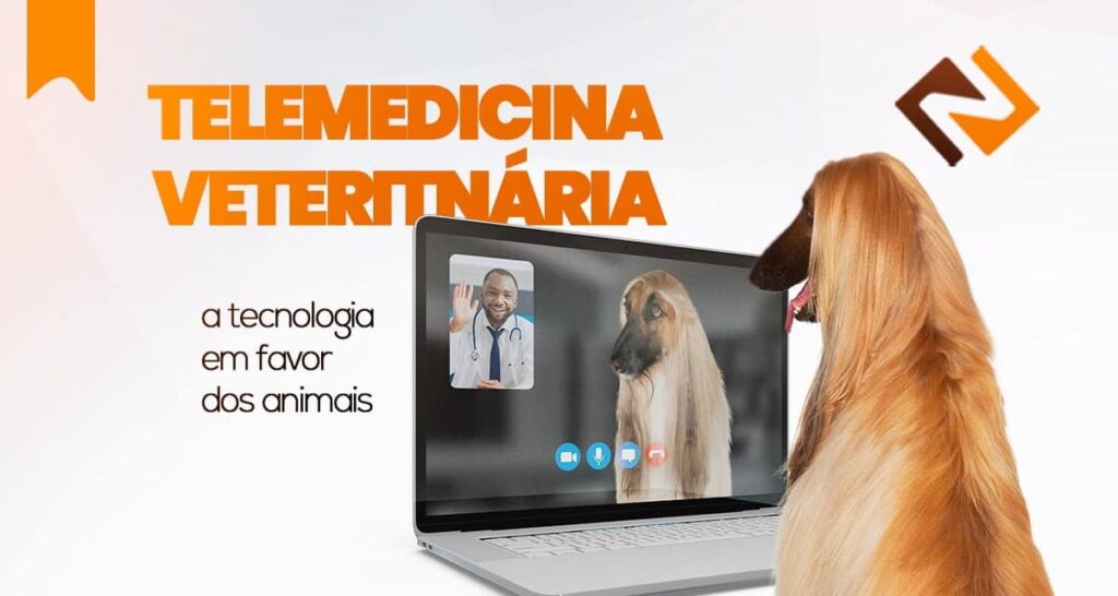 Telemedicina veterinária: a tecnologia em favor dos animais