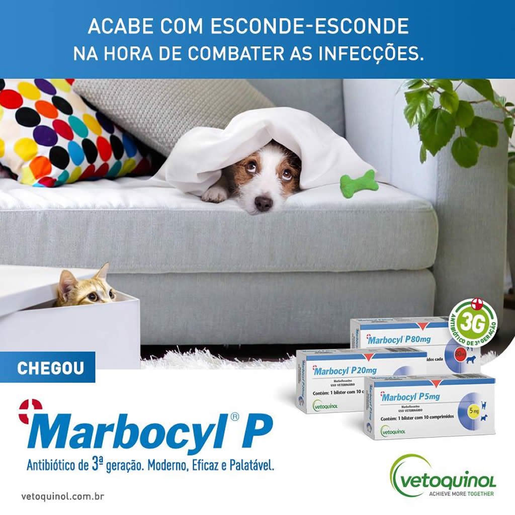 Antibiótico Marbocyl P 5mg para Cães e Gatos Vetoquinol - 10 ...