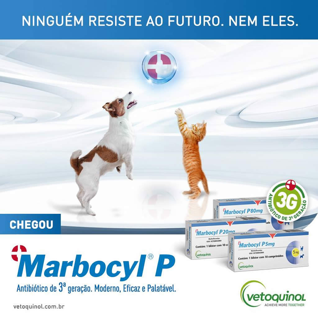 Antibiótico Marbocyl P 20mg para Cães e Gatos Vetoquinol - 10 ...