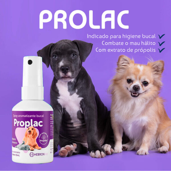 15162646640 prolac20 2 Ninovet Distribuidora