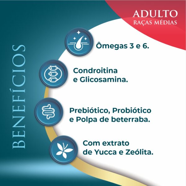 ADULTO RM 02 Ninovet Distribuidora