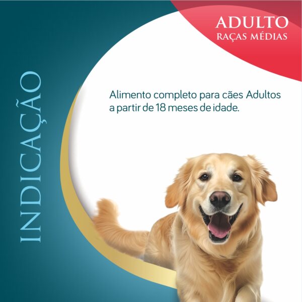 ADULTO RM 04 Ninovet Distribuidora