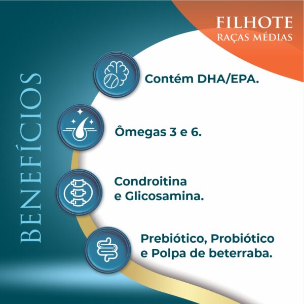 FILHOTE RM 02 Ninovet Distribuidora