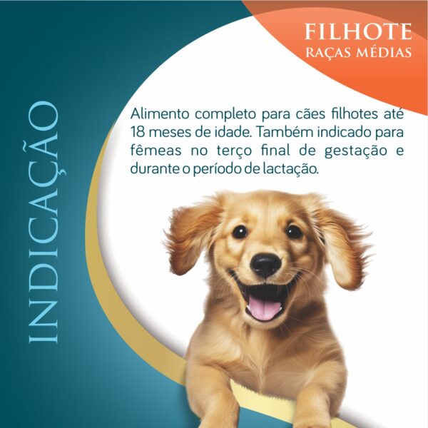 FILHOTE RM 03 Ninovet Distribuidora